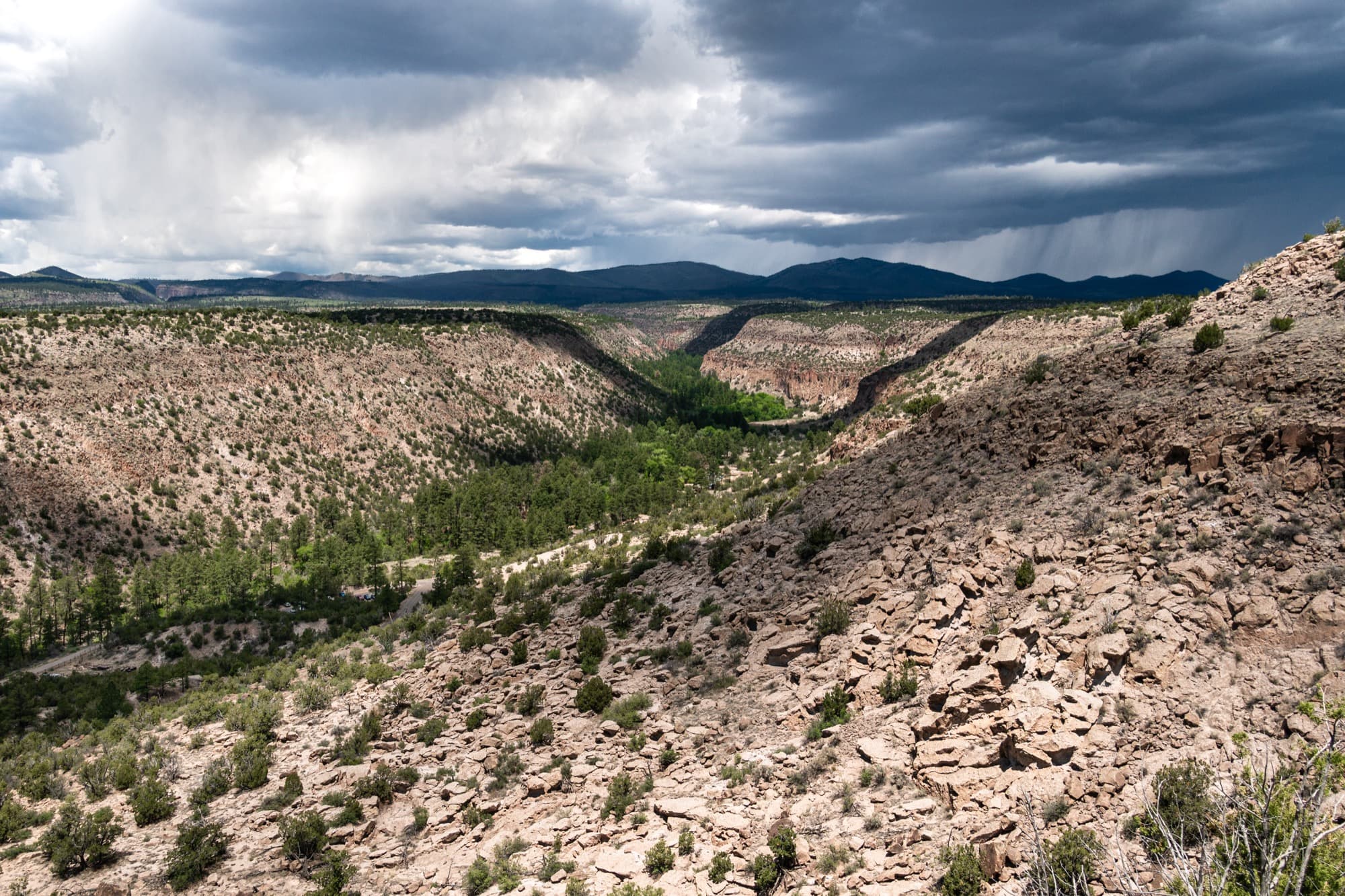 Wide view of the Rio Grande Gorge in northern New Mexico, with layered basalt cliffs and high desert under an overcast sky.